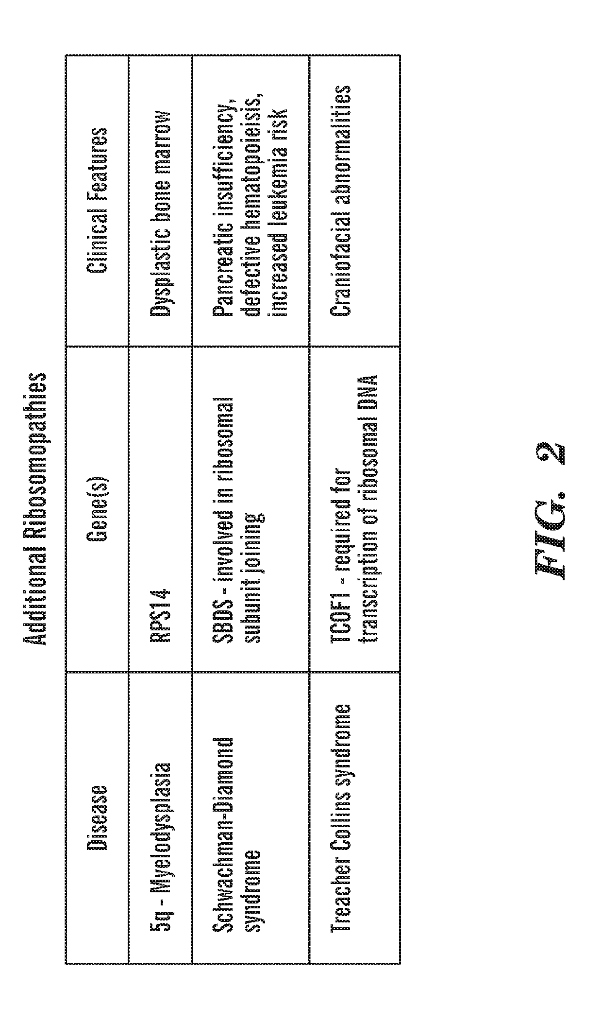 Calmodulin inhibitors, chk2 inhibitors and rsk inhibitors for the treatment of ribosomal disorders and ribosomapathies