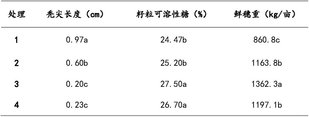 Sweet corn functional fertilizer