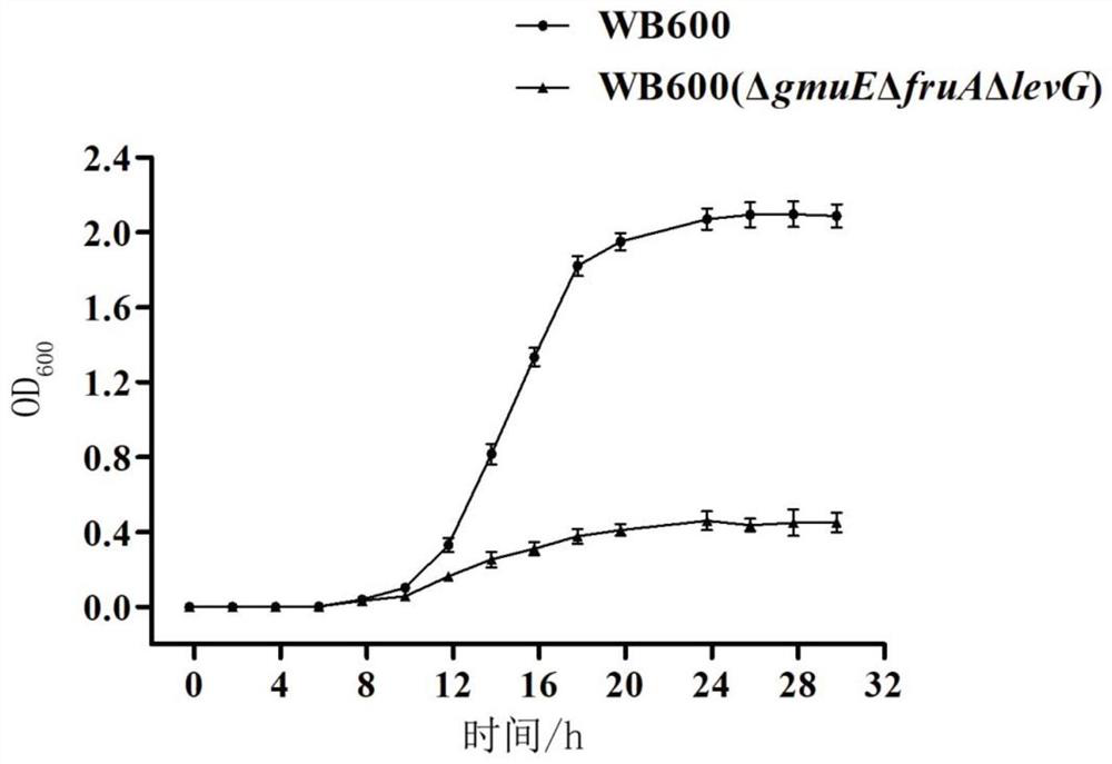 Genetically engineered bacterium for synthesizing D-allulose, and construction method and application of genetically engineered bacterium