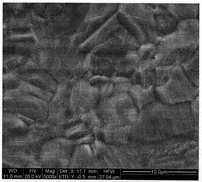 A mcraly coating with excellent oxidation resistance and preparation method thereof