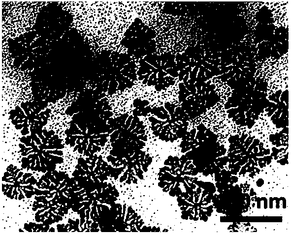 A dendritic two-dimensional palladium-silver nanosheet and preparation method thereof