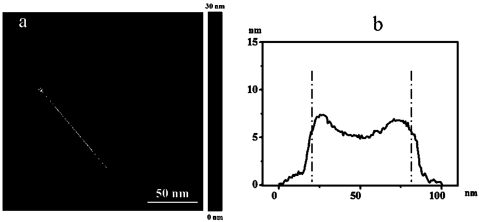 A dendritic two-dimensional palladium-silver nanosheet and preparation method thereof