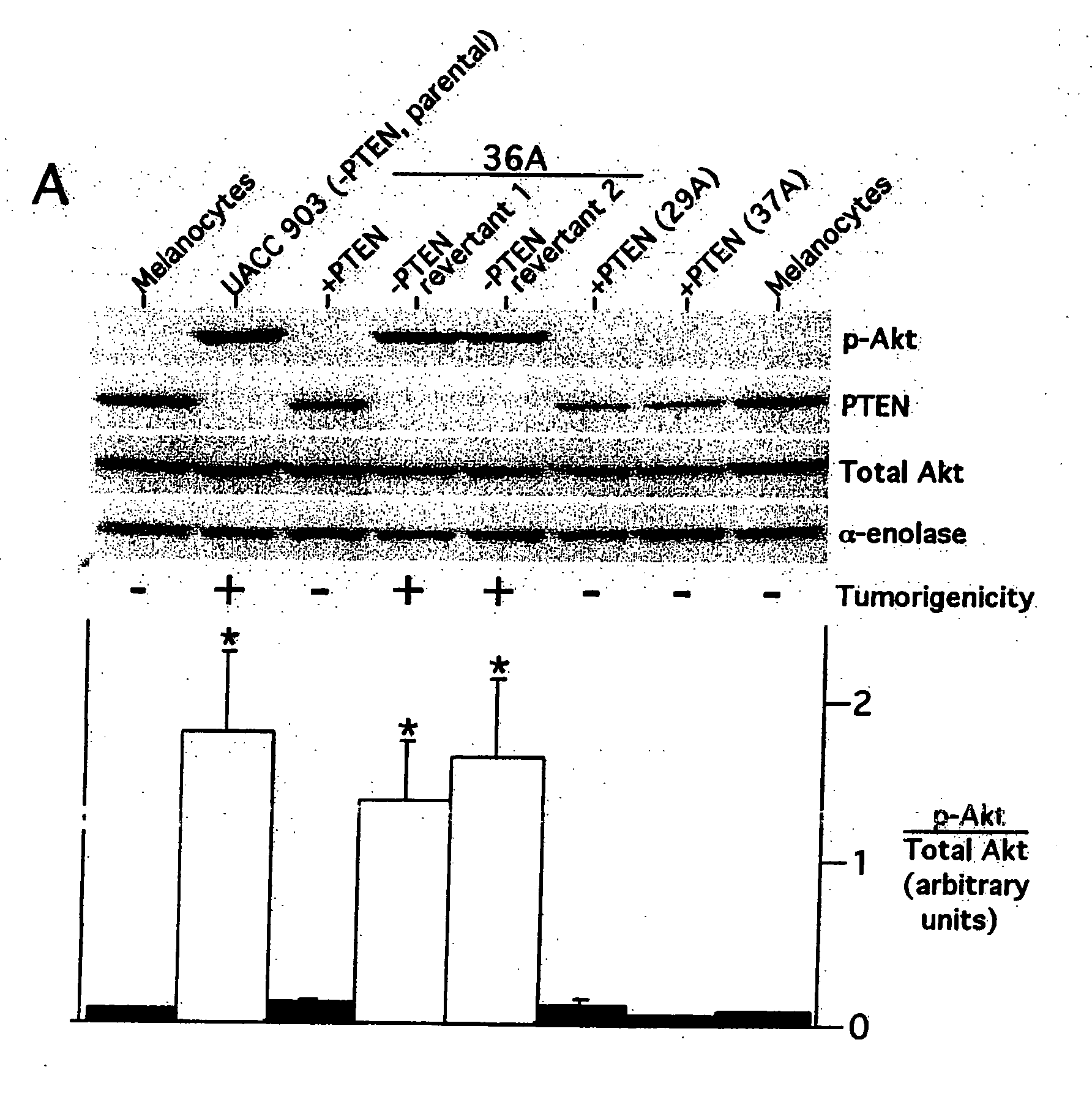 Combinatorial methods and compositions for treatment of melanoma