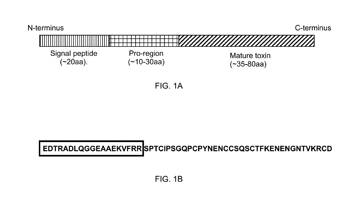 Pesticidal fusion protein improvements