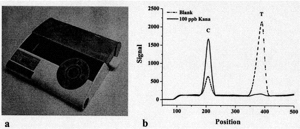Fluorescence immunochromatographic assay test paper for kanamycin residues and preparation method of fluorescence immunochromatographic assay test paper