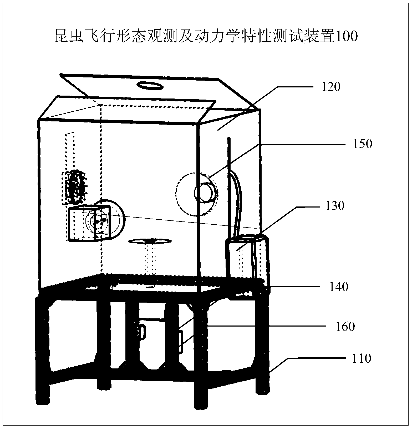 Insect flying form observing and dynamic characteristic testing device