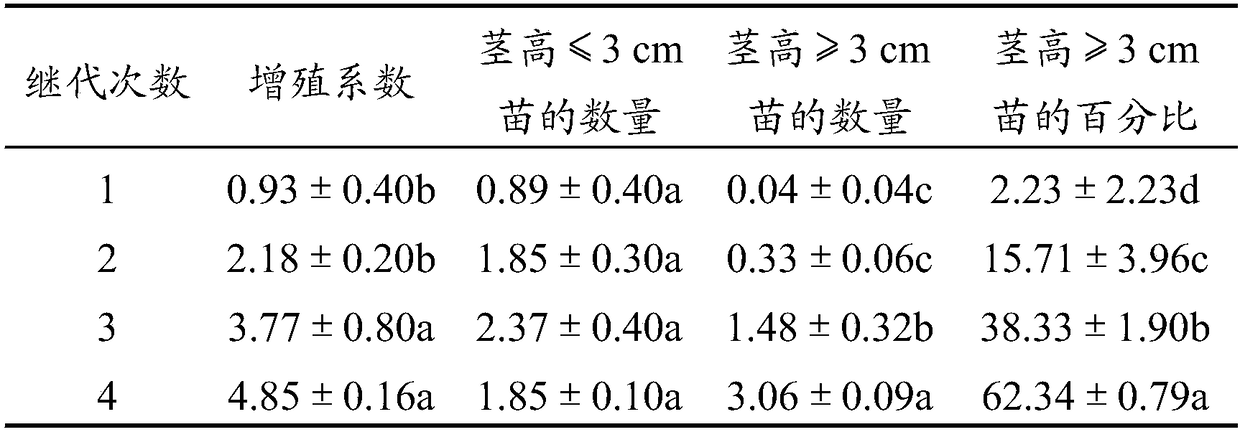 Tissue culture and rejuvenizing method for adult male populus tomentosa