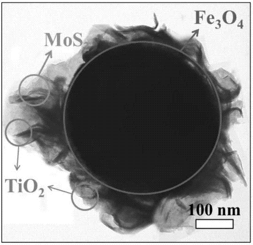 Molybdenum disulfide and titanium dioxide-modified ferroferric oxide nanometer composite material