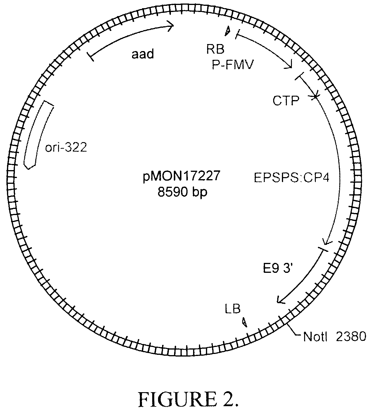 Methods for controlling gibberellin levels