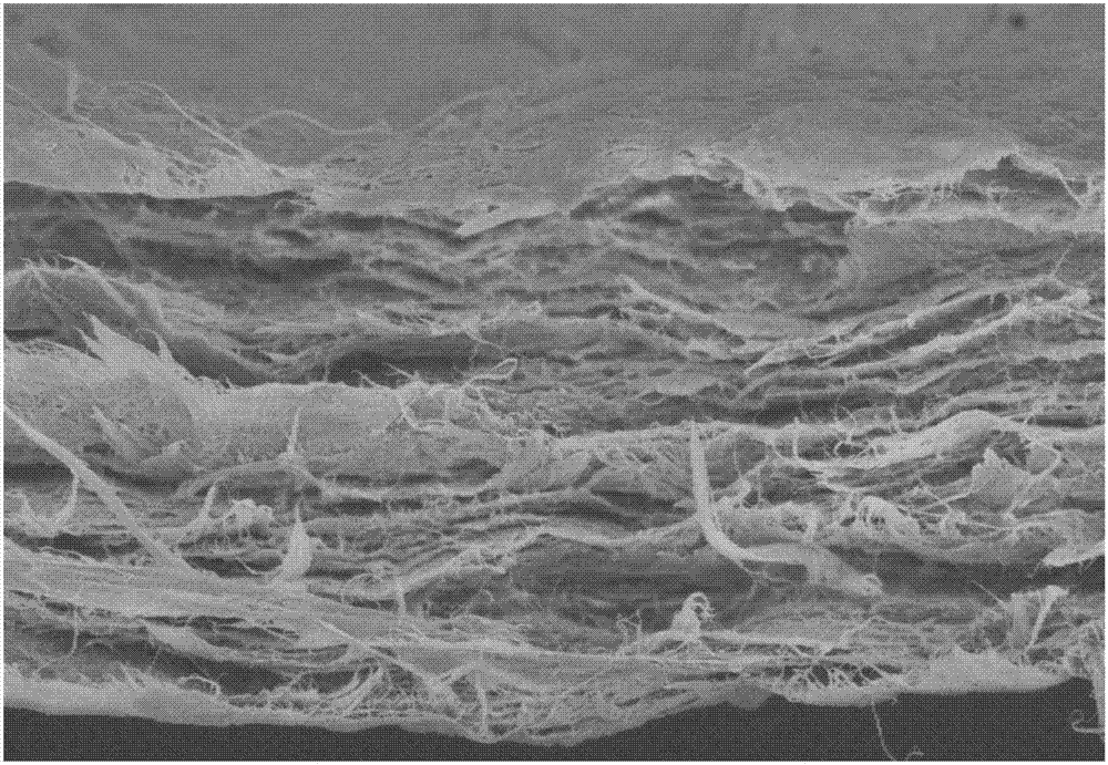 Preparation method and application of functionalized graphene oxide/bacterial cellulose/carbon nano tube composite membrane