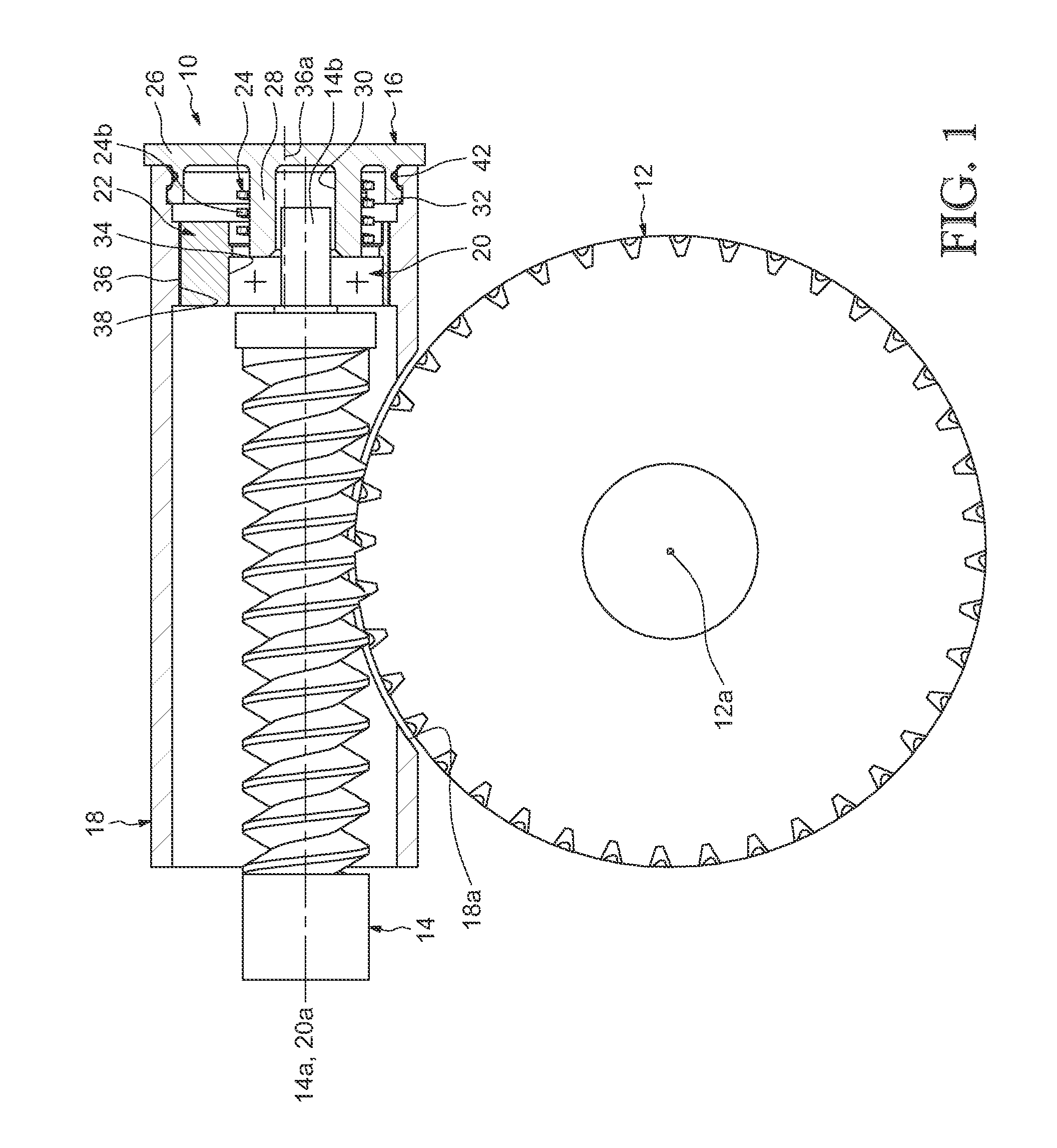 Wear-Compensation Device For A Gear