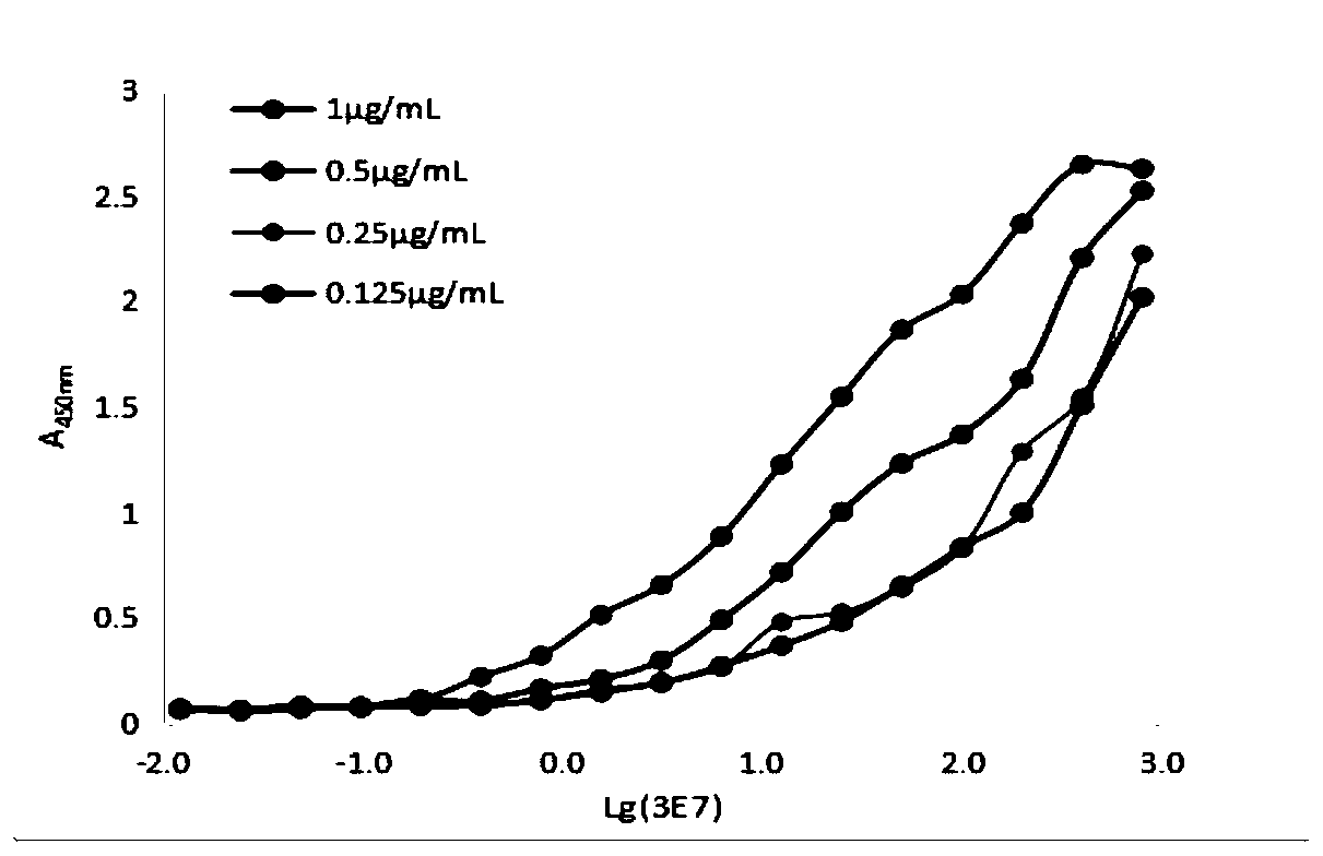 Monoclonal antibody resisting duck skeletal troponin I and application of monoclonal antibody