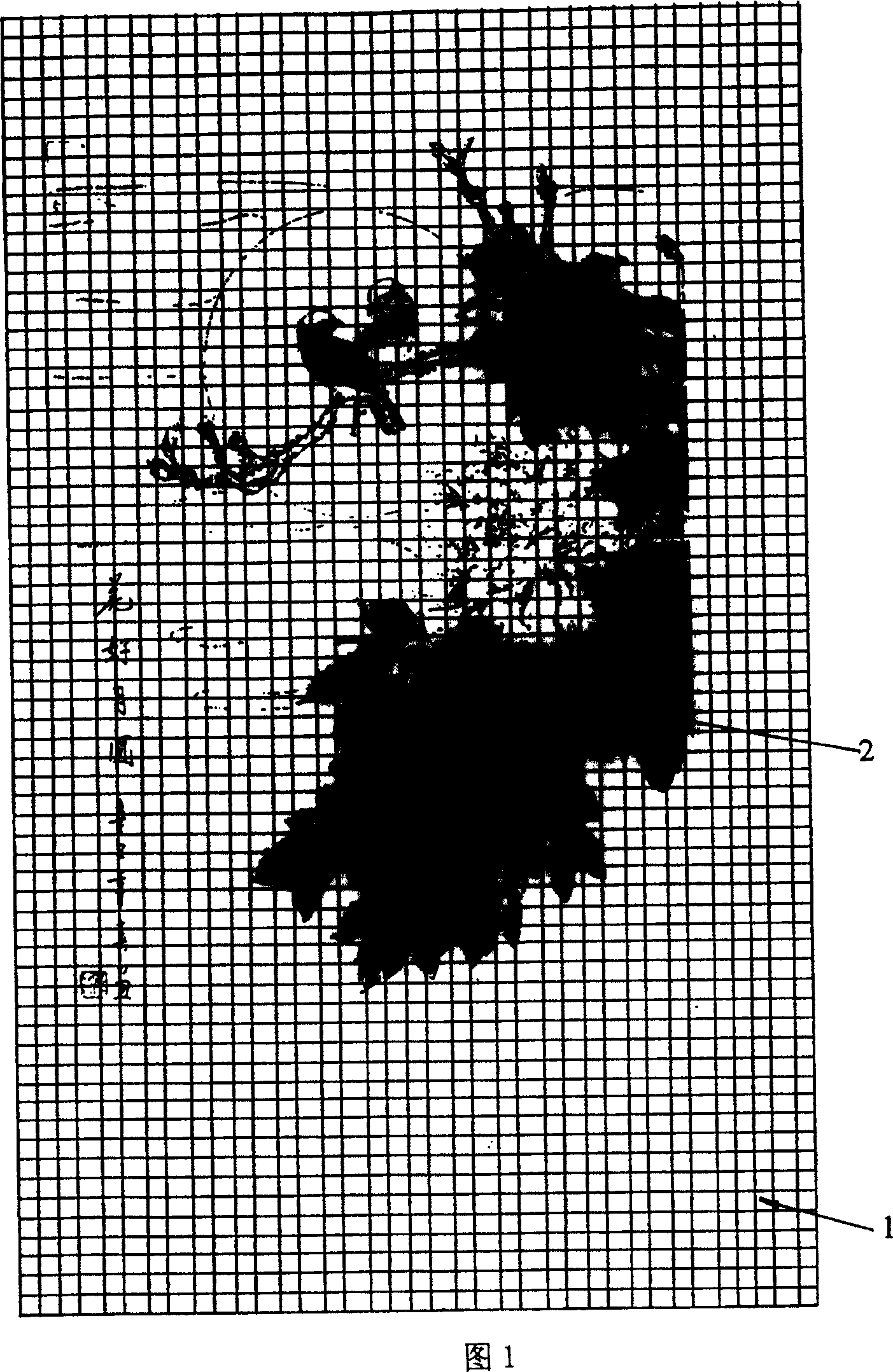 Monodirectional prespective window screening