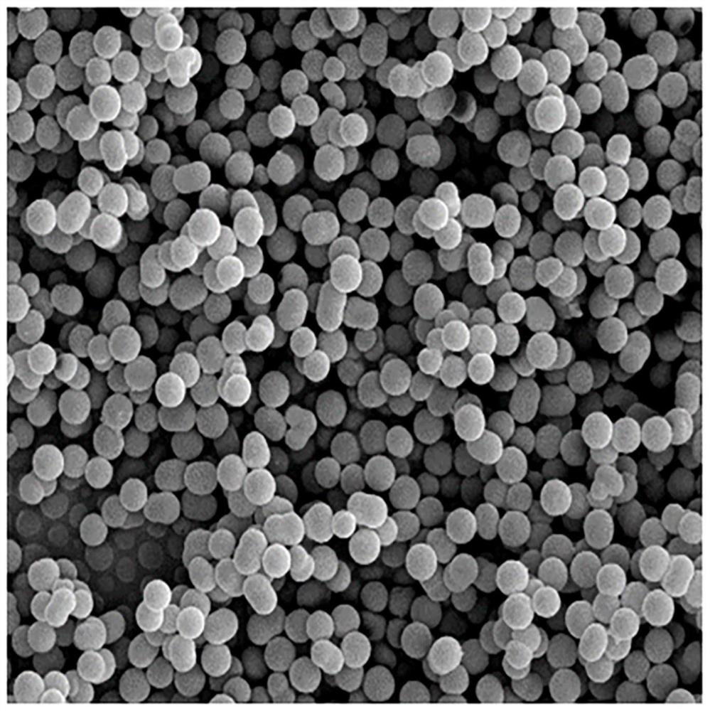 Preparation method and application of transition metal single atom and nitrogen and phosphorus doped carbon spheres