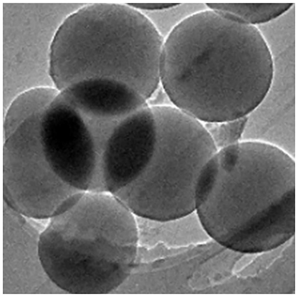 Preparation method and application of transition metal single atom and nitrogen and phosphorus doped carbon spheres