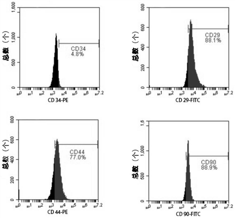 MiRNA simulant and application thereof