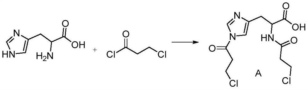 A kind of synthetic method of carnosine