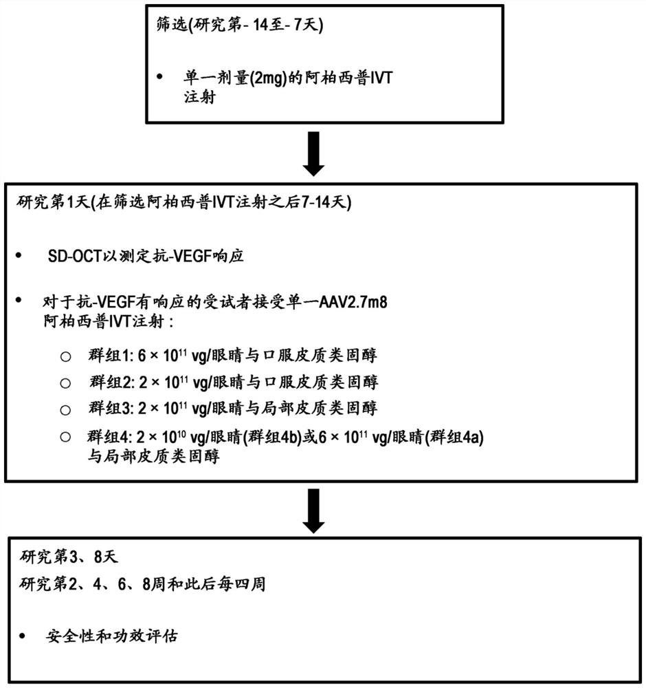 Methods of treating ocular neovascular diseases using AAV2 variants encoding aflibercept