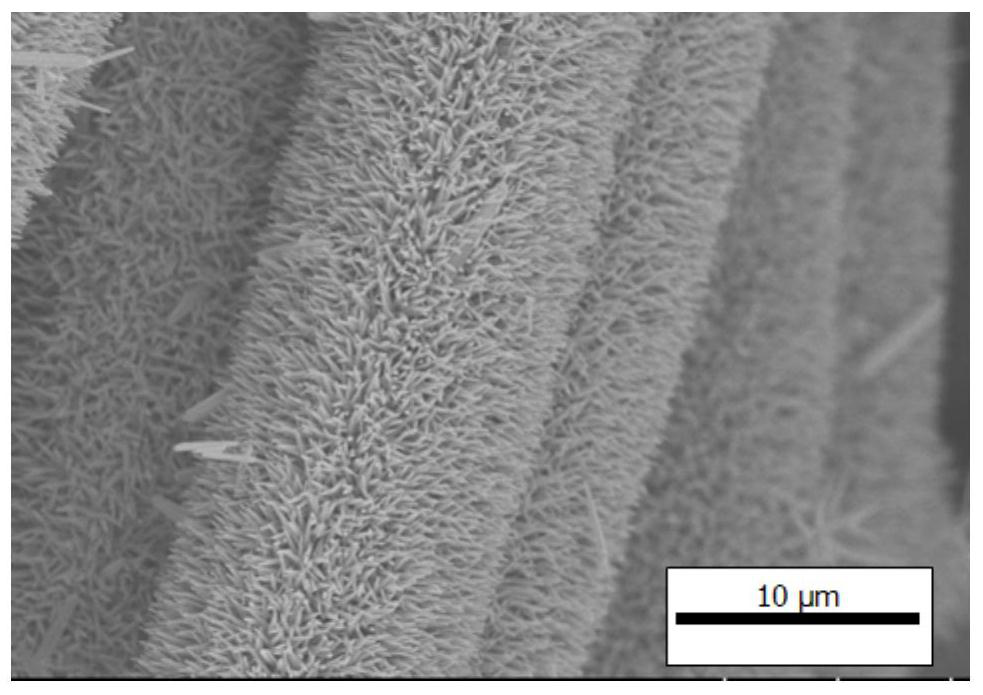 A sensor for measuring the amount of flexible sulfide-producing bacteria and an indirect method for measuring the amount of srb bacteria in sewage