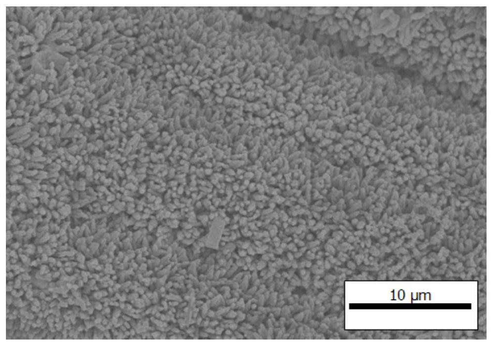 A sensor for measuring the amount of flexible sulfide-producing bacteria and an indirect method for measuring the amount of srb bacteria in sewage