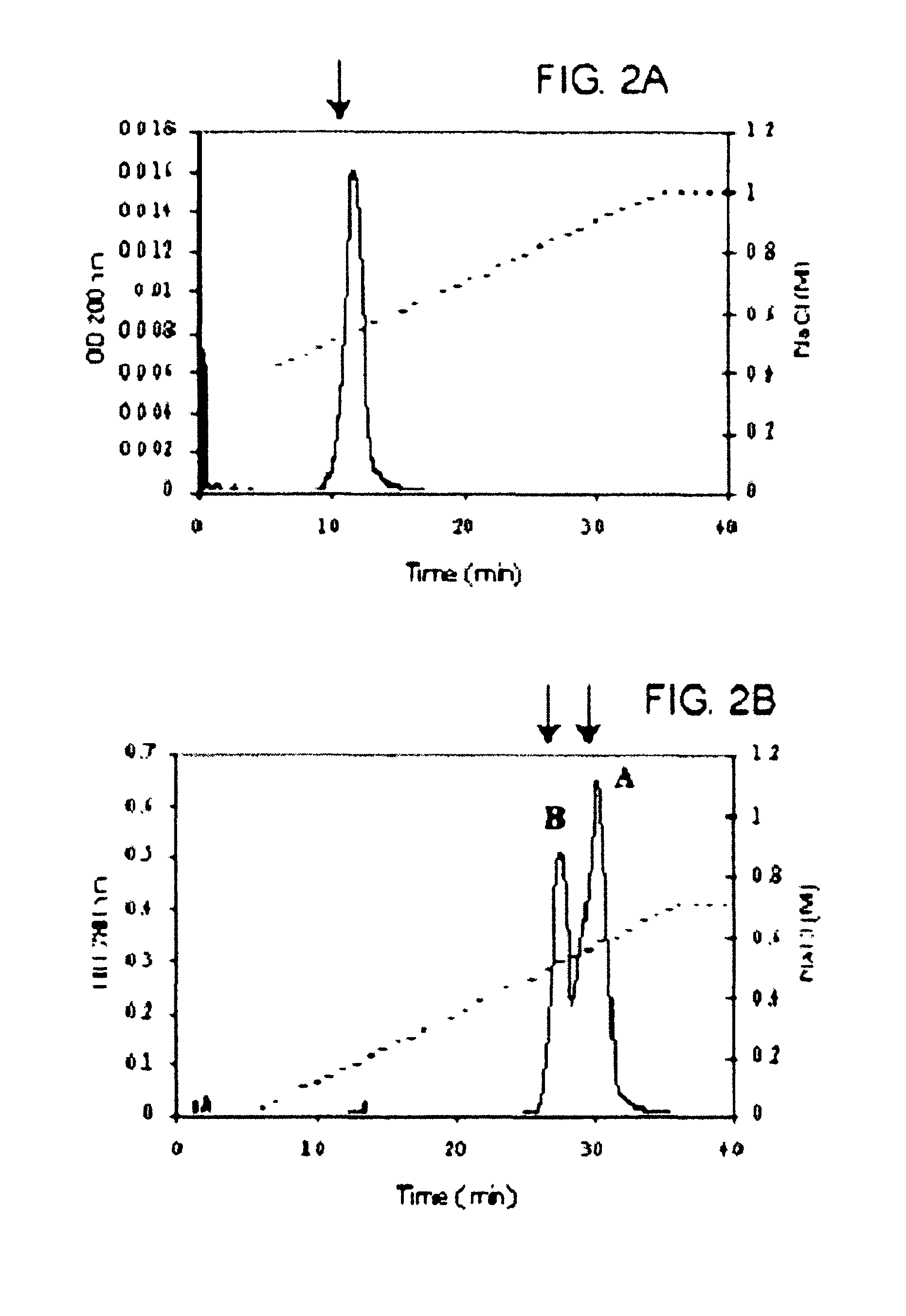 Product and composition containing a Concholepas concholepas hemocyanin (CCH) subunit, and a method of use thereof