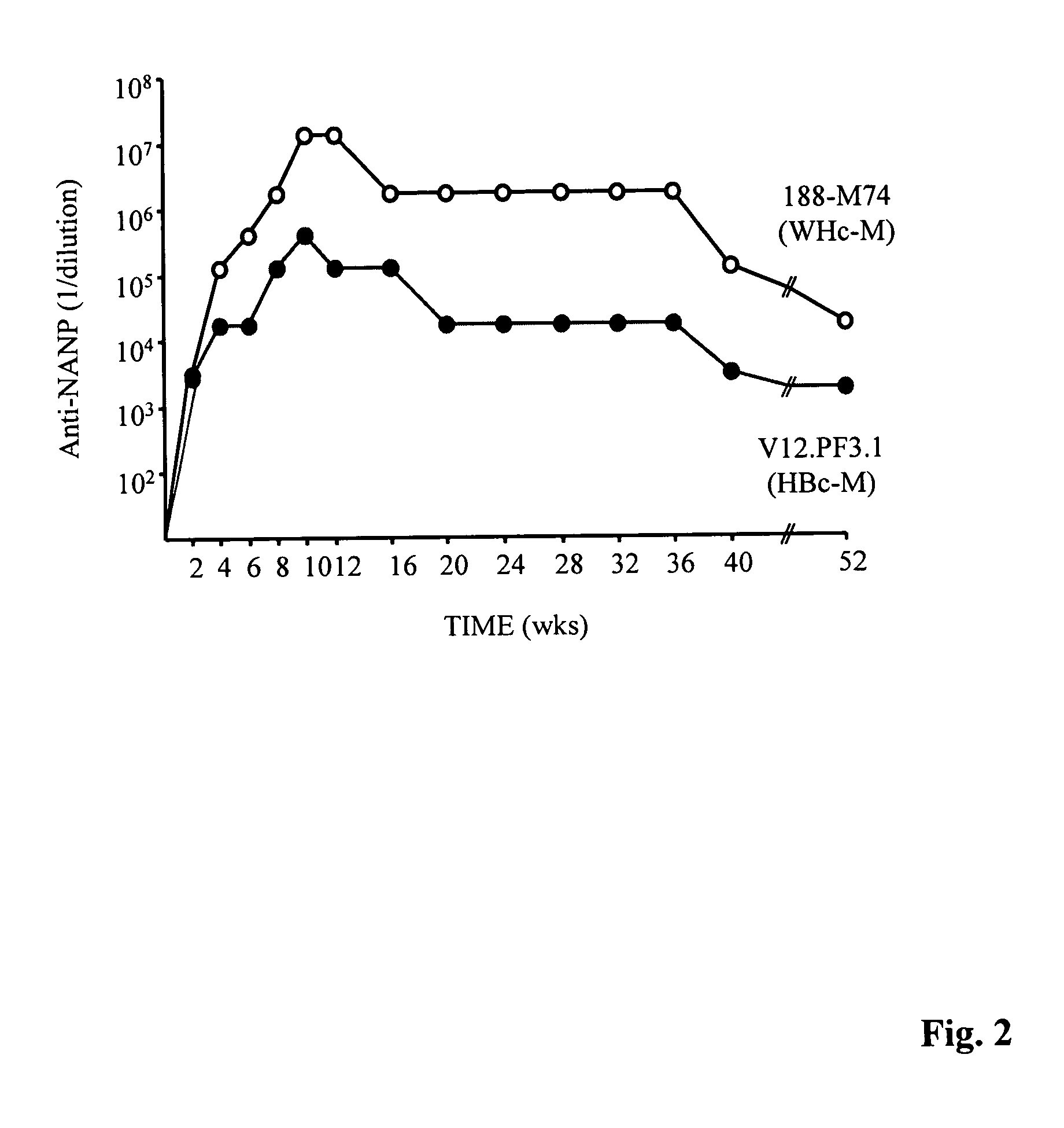 Rodent hepatitis B virus core proteins as vaccine platforms and methods of use thereof