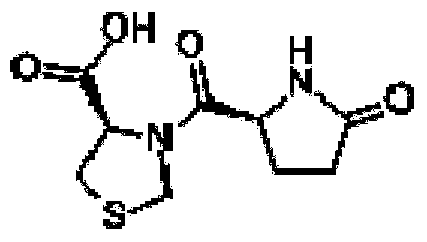 Pidotimod injection and preparation method thereof