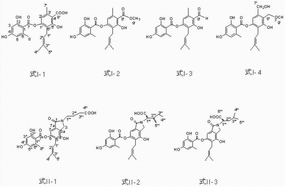 Benzoic acid derivative as well as preparation and hypoglycemic application thereof