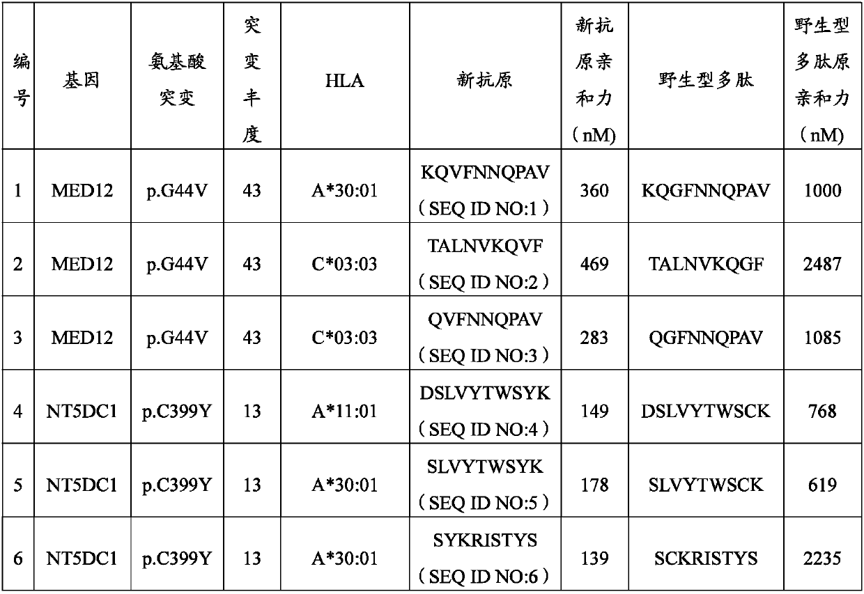 Hysteromyoma neoantigen and application thereof and hysteromyoma vaccine