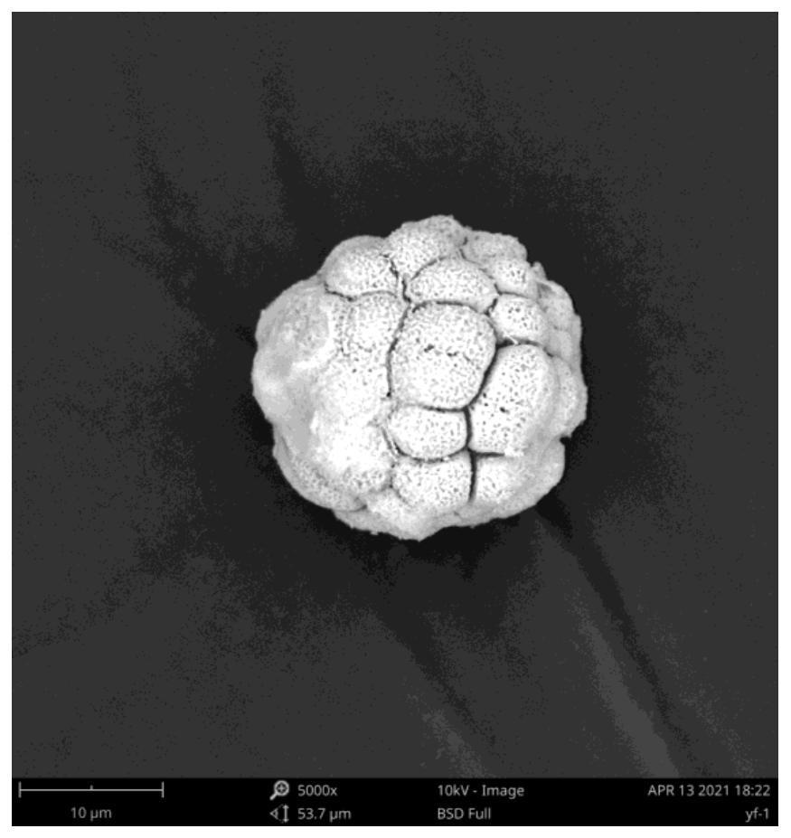 Method for preparing spherical dinitroso diammineplatinum by hydrothermal method and application