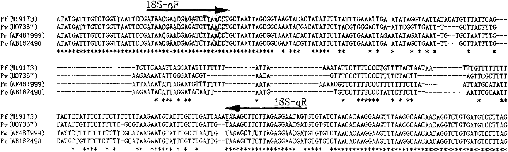 Method for detecting and identifying plasmodium sperozoites in mosquito medium