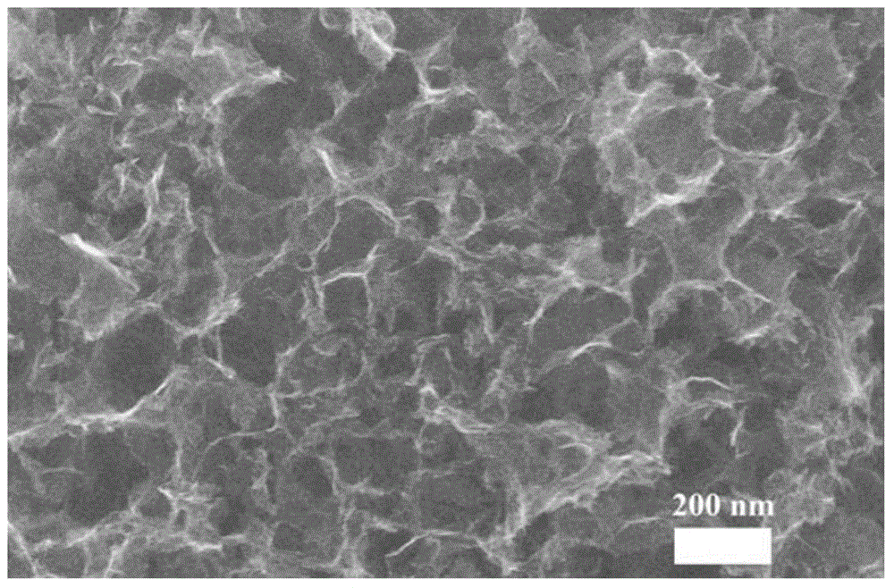 Heteroatom-doped porous graphite electro-catalyst and preparation and application thereof as well as device