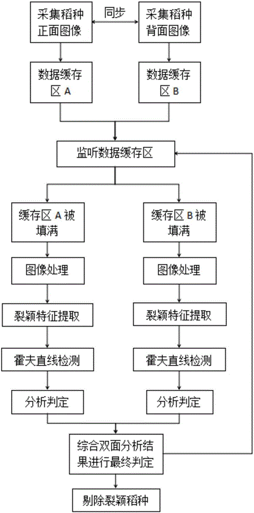 Double analysis method of online glume-gaping seed rice identification