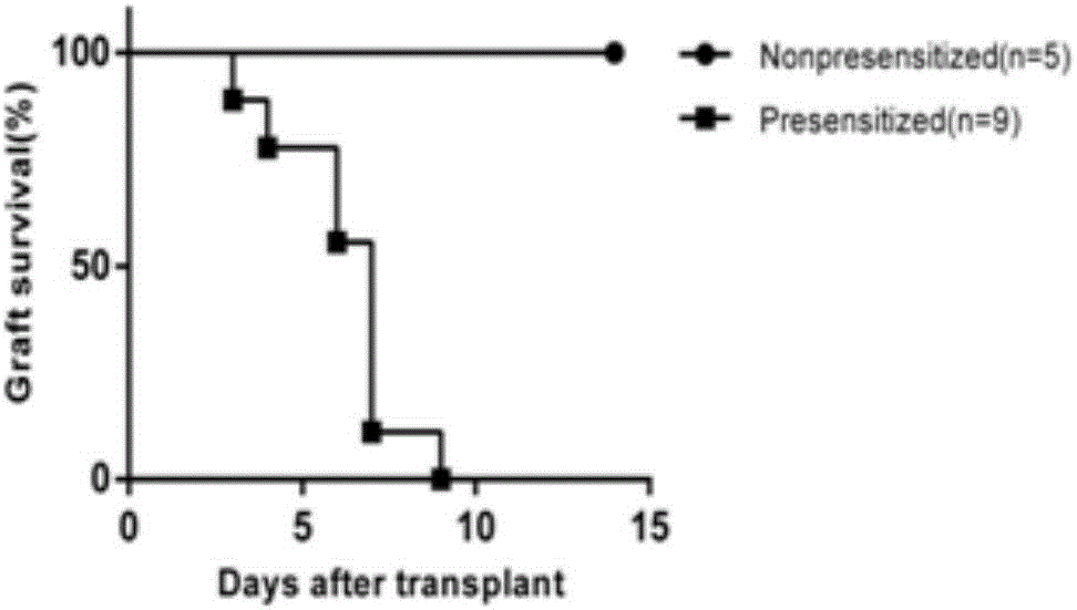 Preparation method and application of regulatory T cell