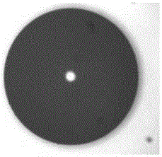 A kind of supported spherical activated carbon catalyst and preparation method thereof