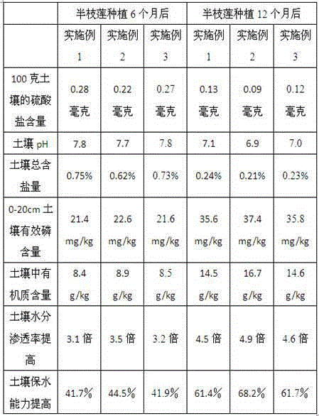 Soil conditioning, fertility-increasing and salt-reducing agent for sulfate-type saline soil and application thereof to sculellaria barbata planting