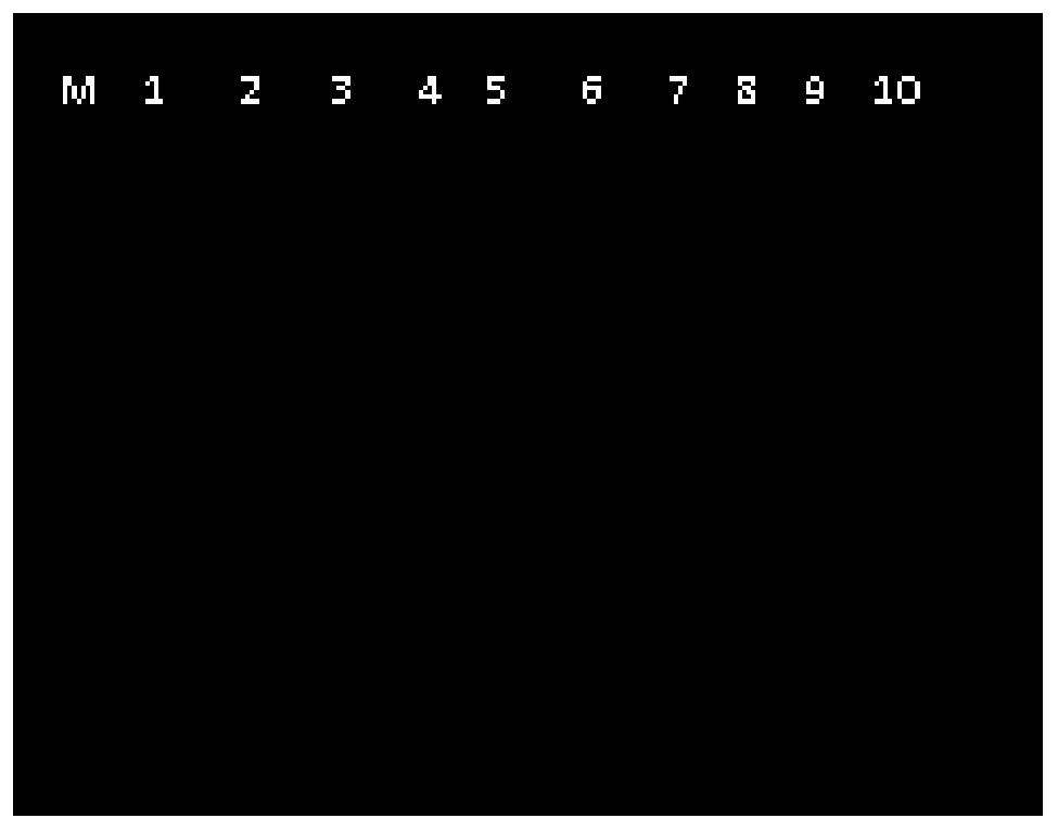 Liriodendron cellulose synthase gene lccesa1 and its expression protein and application