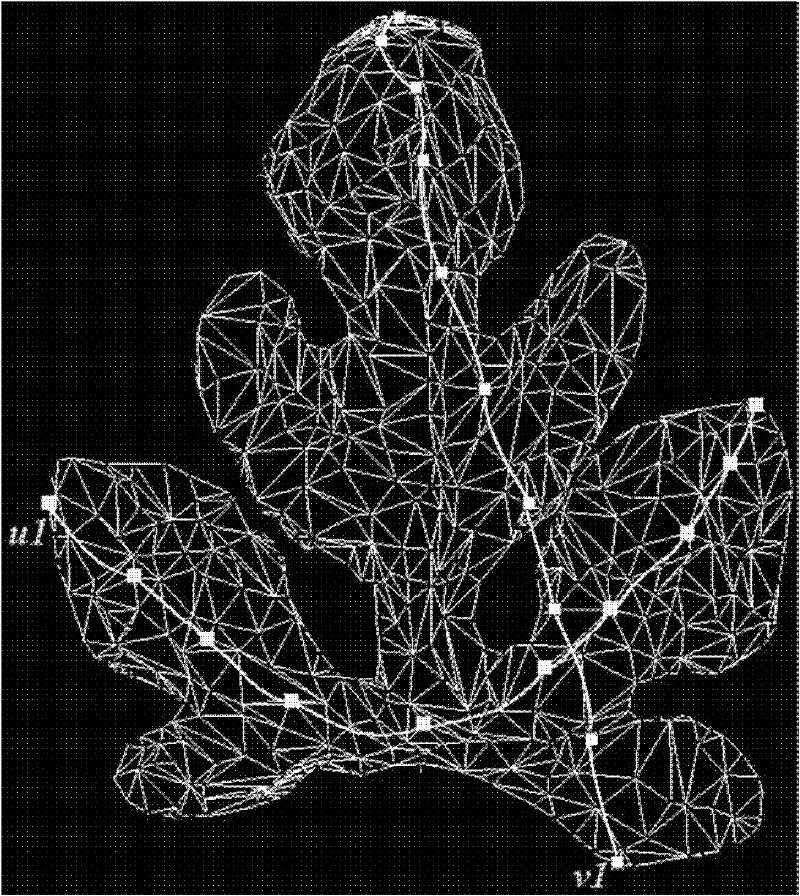 Texture mapping method for three-dimensional curved surface of irregular plant leaf