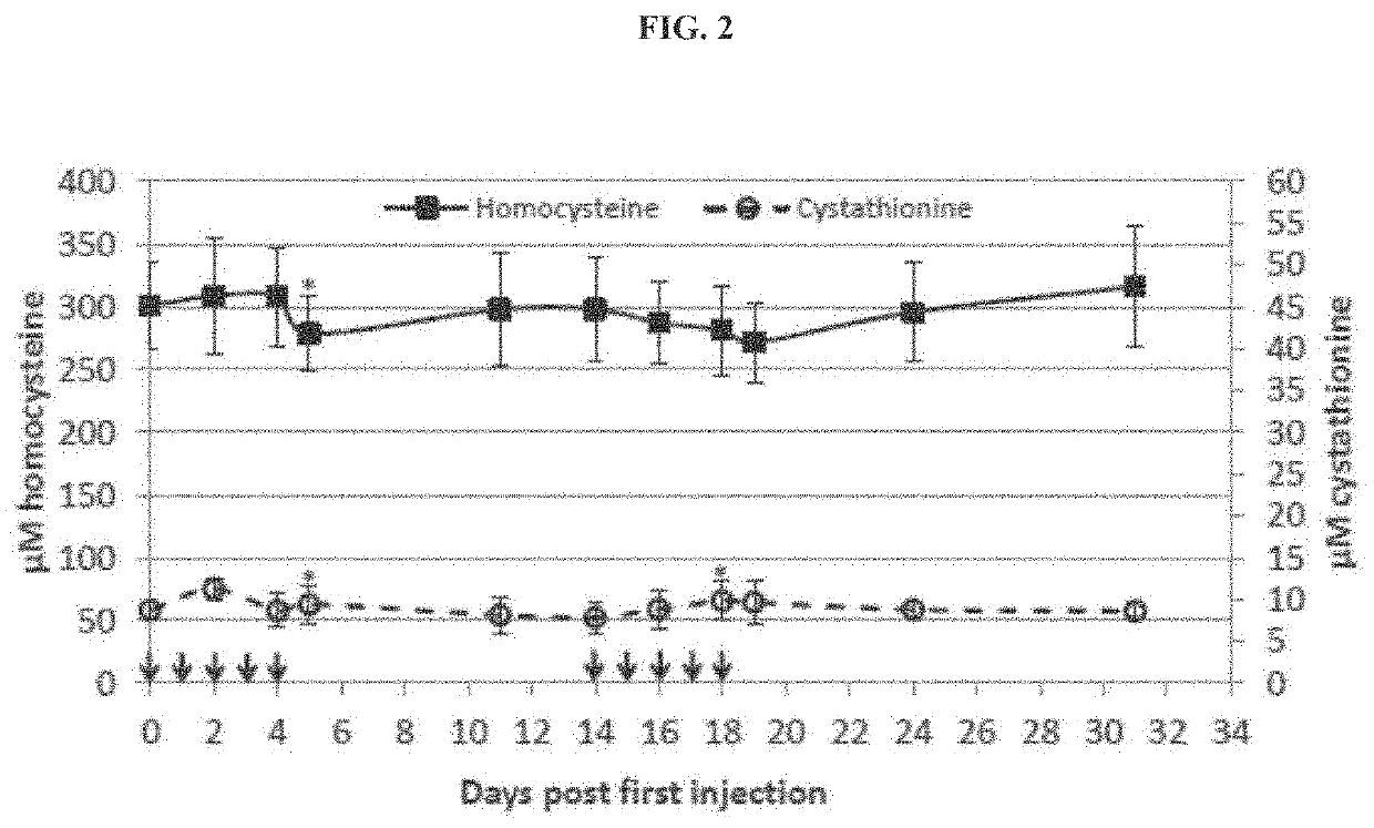 Compositions and methods for treatment of homocystinuria