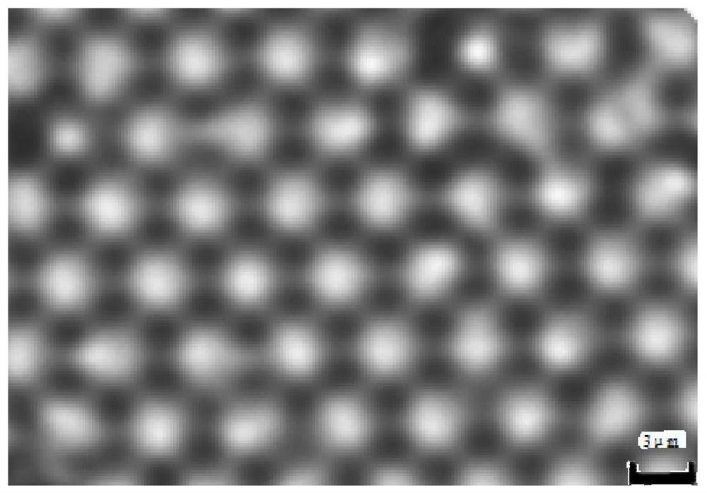 Method for preparing large-area single-layer colloidal crystal based on water film