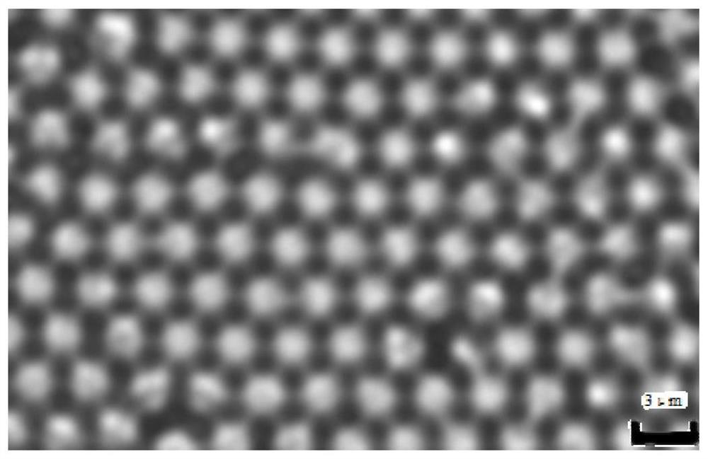 Method for preparing large-area single-layer colloidal crystal based on water film