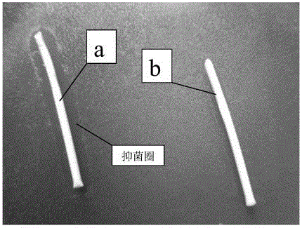 A kind of preparation method of pvc hollow fiber membrane with bacteriostasis