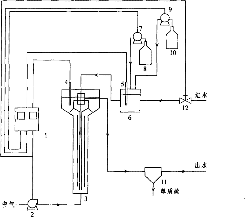 Biological desulphurization processing reactor, biological desulphurization processing system, and processing method
