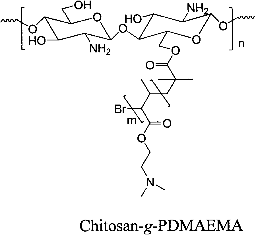 Method for preparing dual-sensitivity graft copolymer with chitosan as main chain