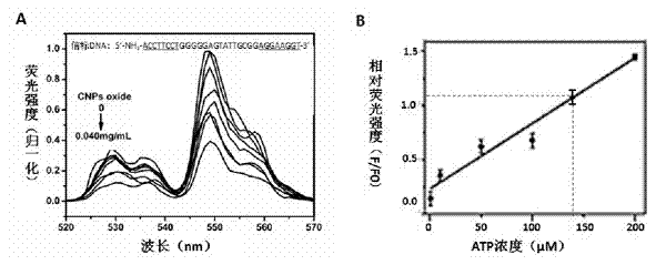 Detection method of substance with specific action with nucleic acid beacon