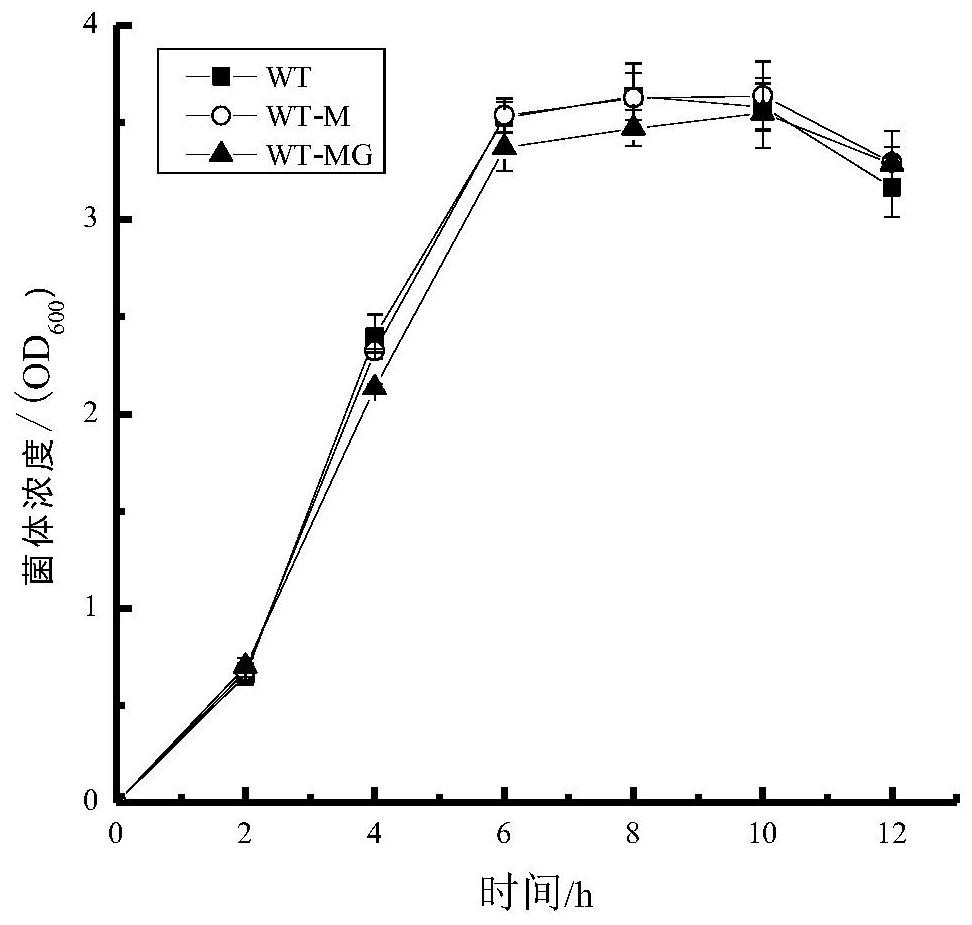 A kind of method for increasing heme content in Escherichia coli