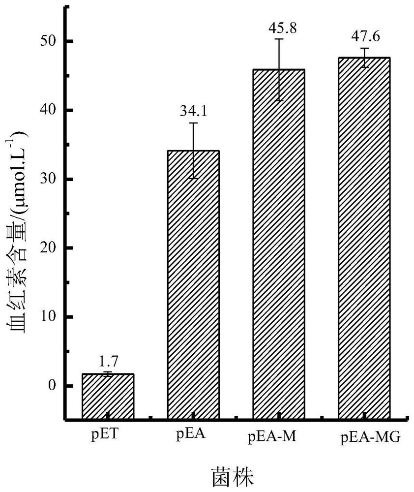 A kind of method for increasing heme content in Escherichia coli