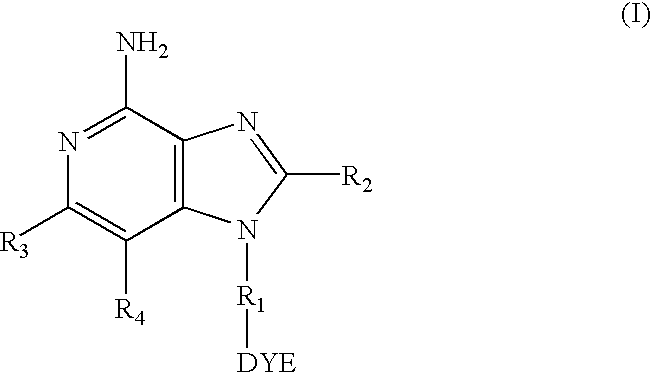 Dye labeled imidazoquinoline compounds