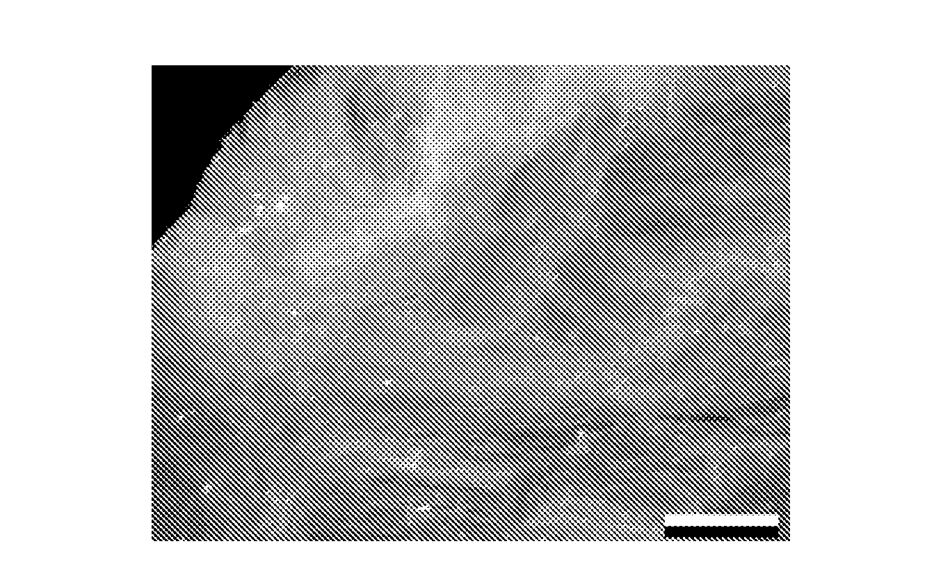 Porous Polymer Scaffolds for Neural Tissue Engineering and Methods of Producing the Same