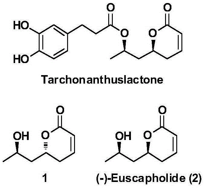 New method for asymmetrically synthesizing natural product (-)-Euscapholide isomer